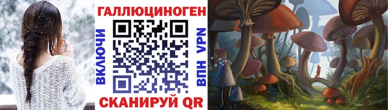 Галлюциногенные грибы GOLDEN TEACHER  Пойковский 
